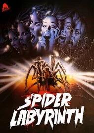 Cover: The Spider Labyrinth