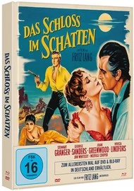 Cover: Das Schloss Im Schatten